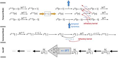 EXODUS: Stable and efficient training of spiking neural networks